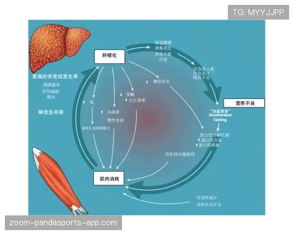 足球规则中危险动作的判罚标准与裁判干预原则解析